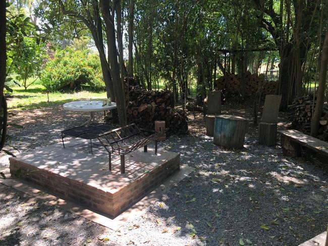 HARAS LA MONEDA Images_3