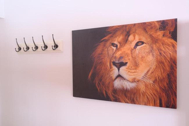 Pozitiv Hostel Images_3