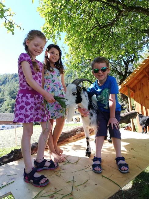 Hintererhof Images_5