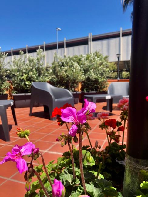 Policlinico Room Affitta Camere Images_3