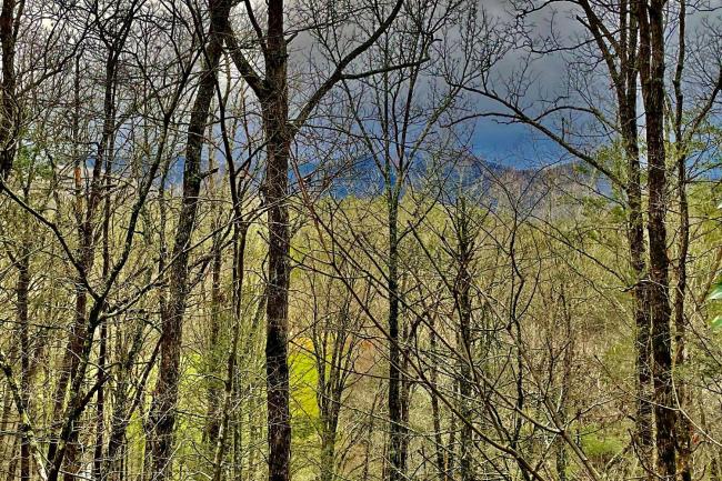 Secluded Mountain Escape with Game Room and Fire Pit! Images_3