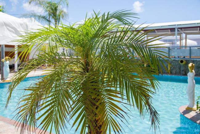 Room in BB - Relaxing Holidays in Paradice Images_1