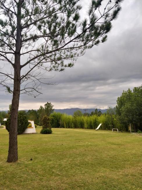 Sueños de Nono Images_3