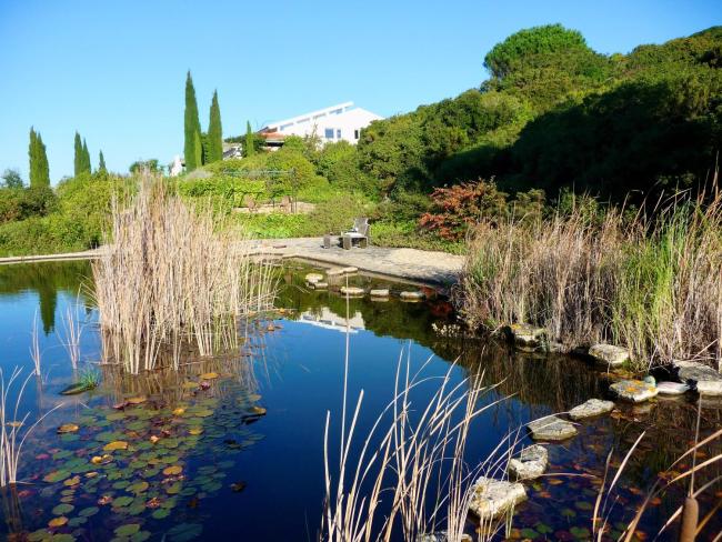 Casa do Pico (Ocean and Nature) Images_4