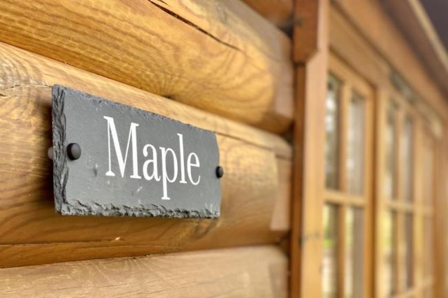 Maple, Kingfishers Images_1