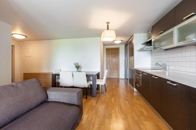 Pine view apartment with huge terrace in Palanga Images_3