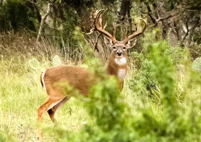 Hidden Rock Ranch Images_5