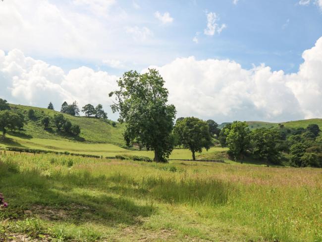 Y Stabl The Stable Images_4