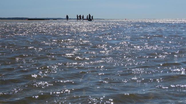 547 Over 3000 Square Feet Beautiful Views Walk to the Beach Huge Private Yard Screened In Porch Images_4