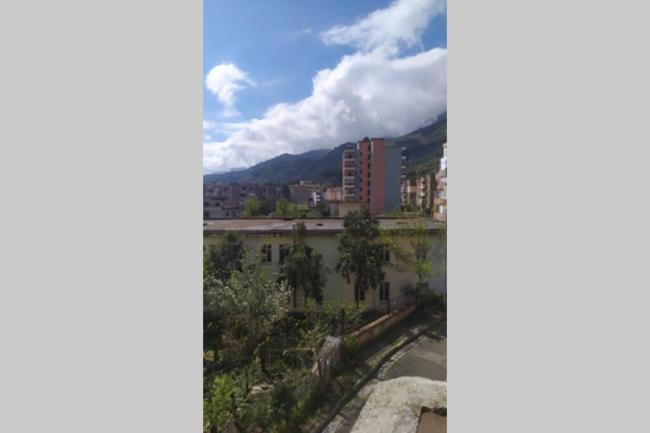 Albani's entire flat with nice view Images_3