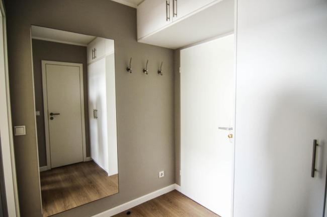 Seepferdchen Images_5