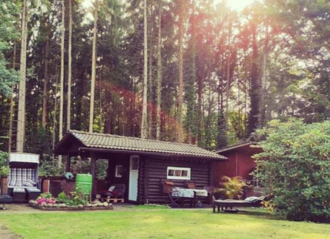 Casa Foresta - minimalistisches 1-Raum Tiny House direkt am Wald Images_1