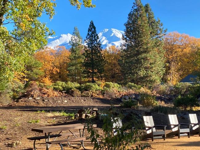 Basecamp Lodge - spacious studio with Mt Shasta view Images_3
