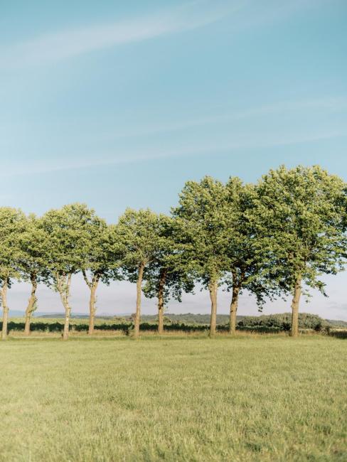 Château Saint-Joseph, grand gîtes 4 étoiles en pleine nature Images_4