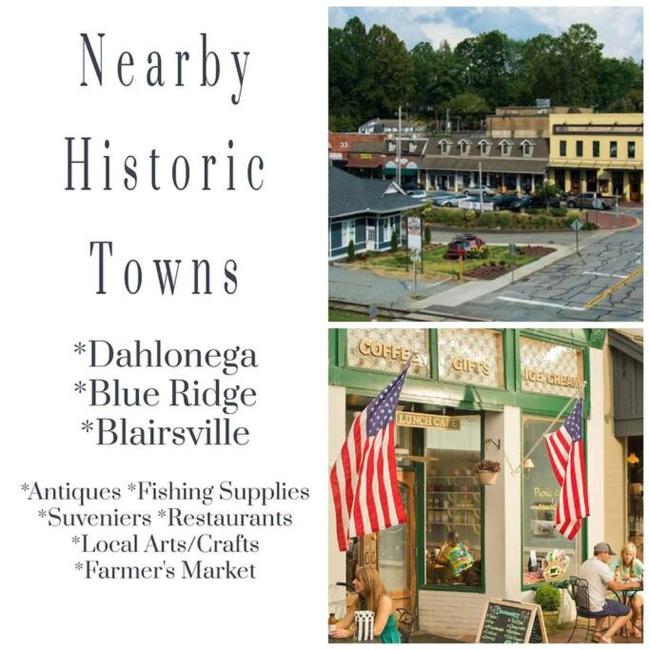 Serendipity - Cabin on The Toccoa River Images_4