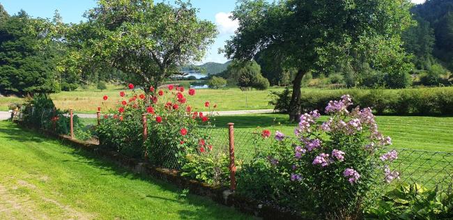 Stort hus i Grimmared Images_1