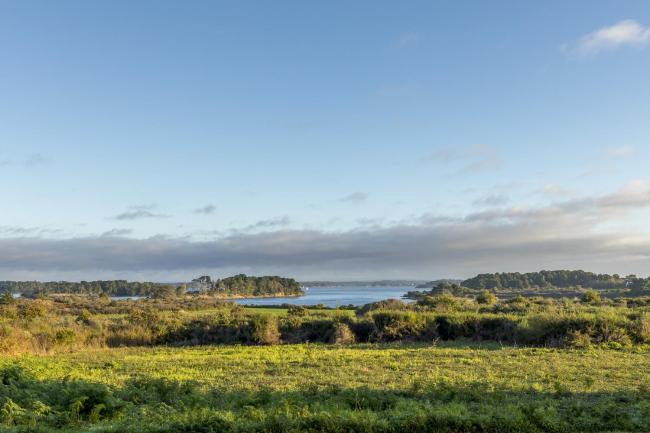 Le Graniol - vue sur le golfe du Morbihan Images_5