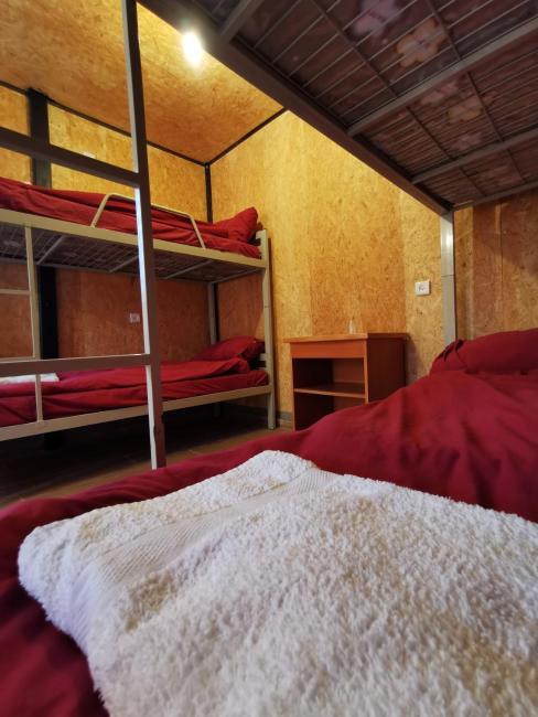 חאן במדבר ארץ ירוקה Images_5