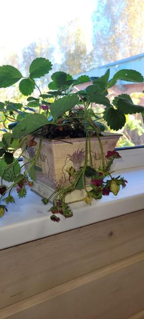 Уютный домик в стиле прованс Images_5