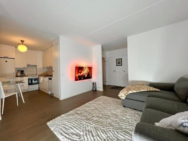 Spacious City Center Apt - Sauna - Self Check in Images_4