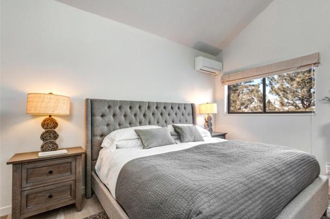 Red Pine Wonder Images_2