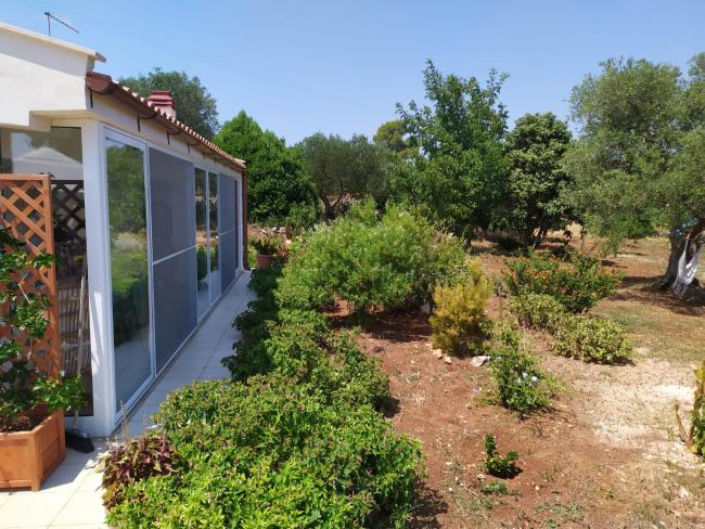 Trullo Libellula Images_1