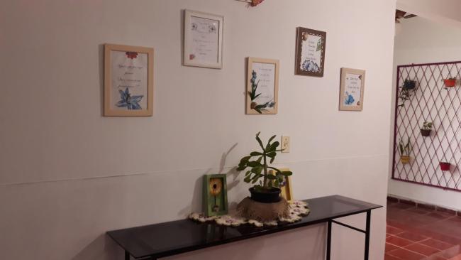 Pousada Girassol Images_5