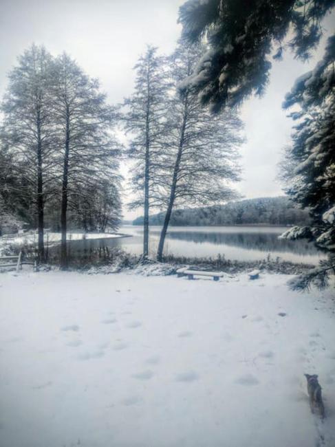 Przystanek Gołubie Images_4