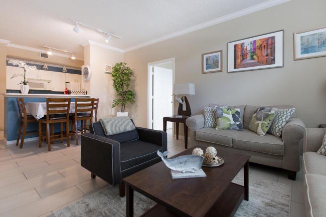 Palm Paradise Images_1