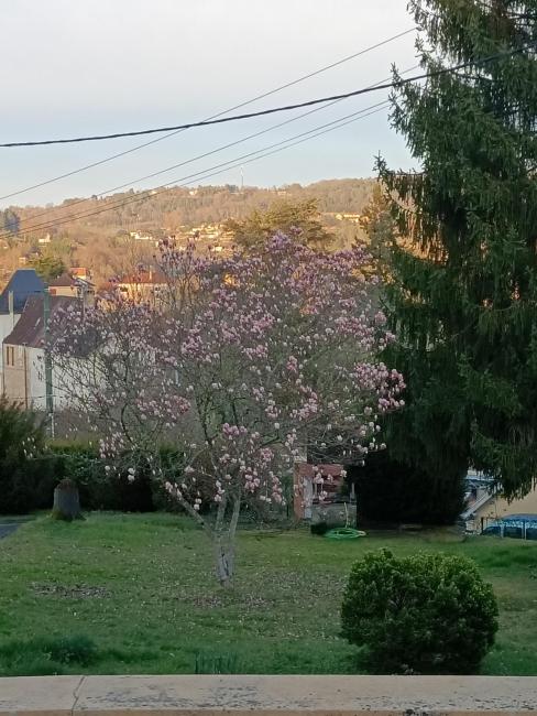 gite le sarlat d'oie Images_1