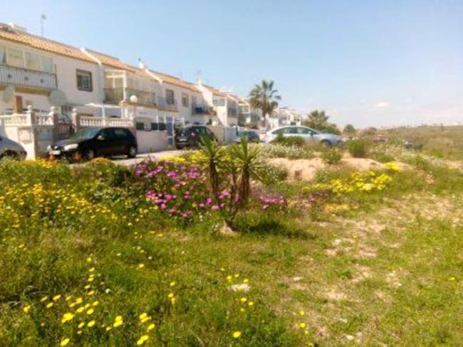 2 bedrooms appartement with shared pool and terrace at Torrevieja Images_2