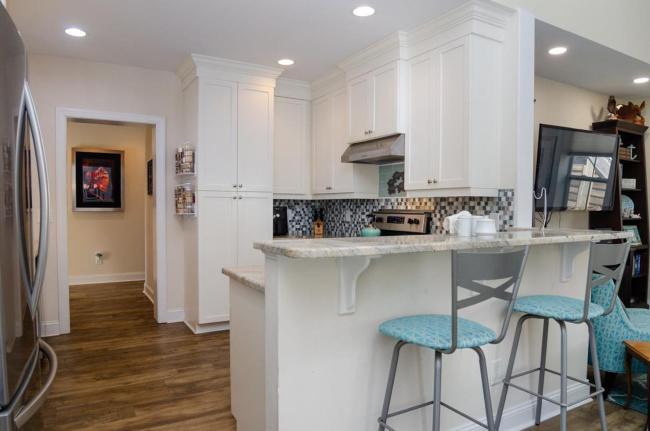 Teal Turtle Images_4