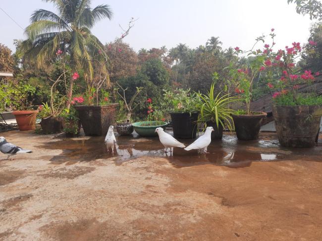 WANIA Guest House Images_1