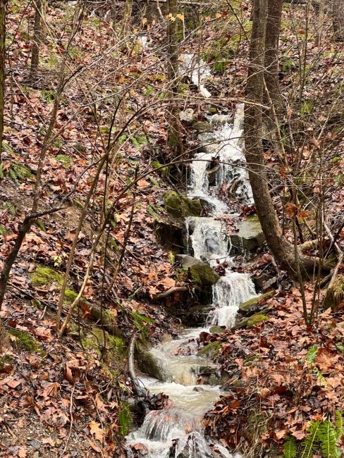 Fun lake view log cabin at Mammoth Cave & Nolin Lake Images_3