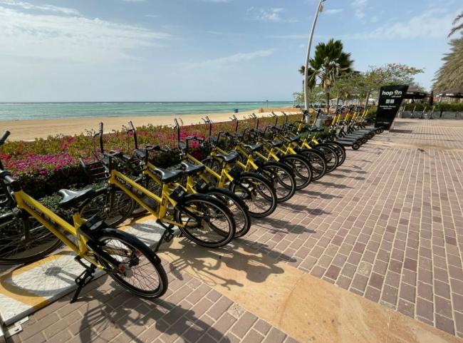 بيسان أبراج الشاطيء إطلالة بحرية عائلات فقط - Bissan sea view Images_5