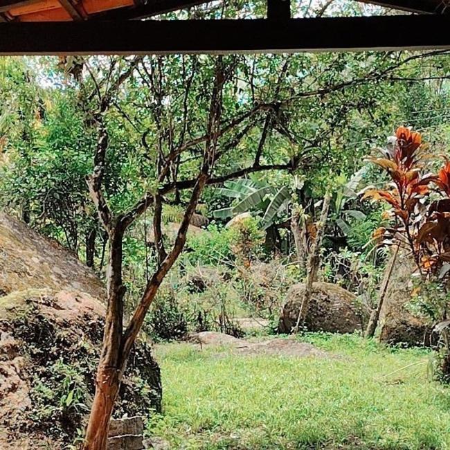 @chaledaangel Images_3