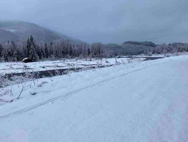 Cozy Tiny Home Steps Away From Mt. Rainier Images_3