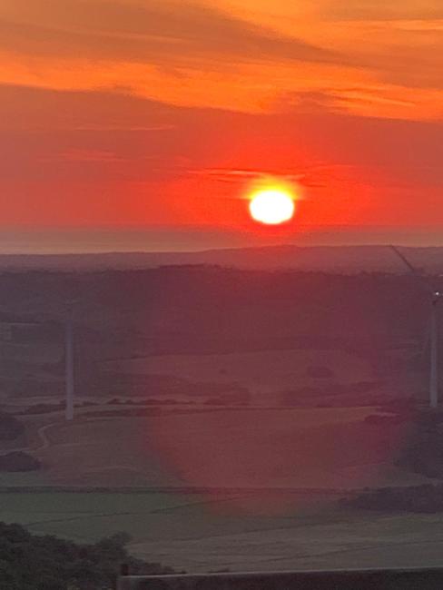 El principito Images_1