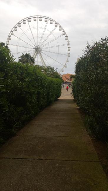 Accès port et commerces, tout équipé, wifi Images_5