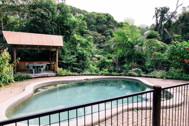 Studio in the Rainforest Images_5