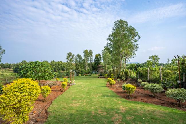 Travalong Yahvi Images_3