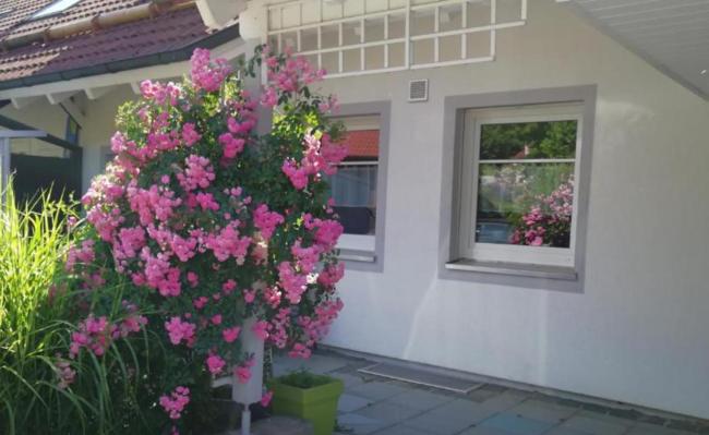 Zum Panoramablick Images_1