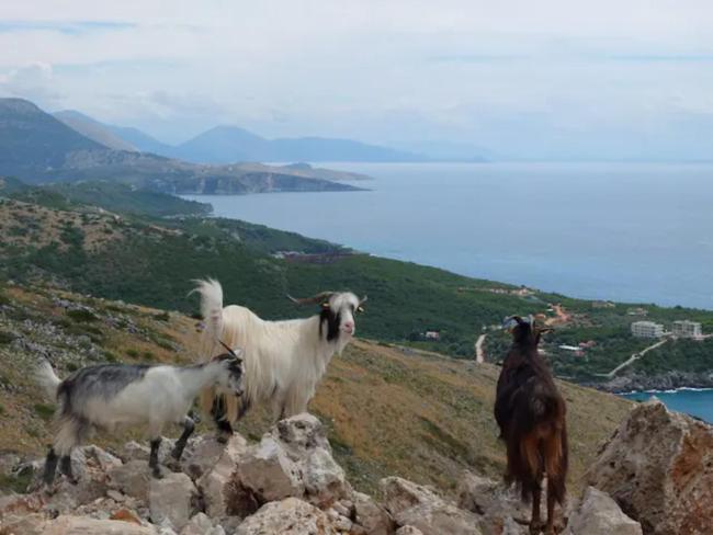 Villa Manol Images_4