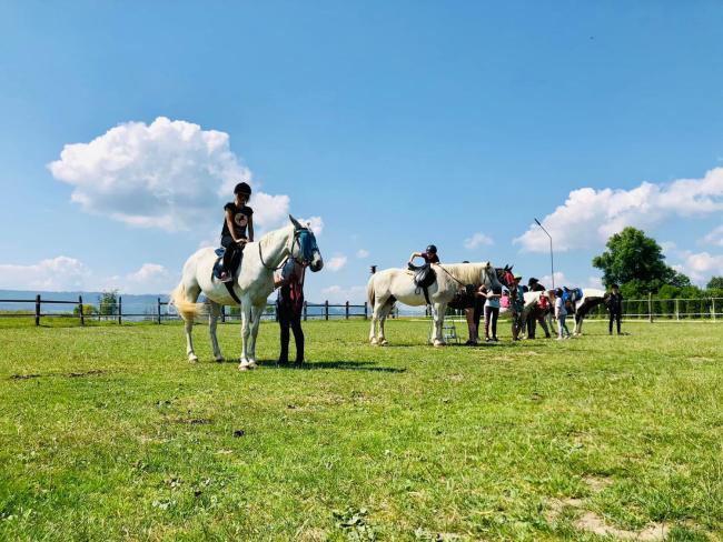 Ranczo Zwierzyniec Noclegi Images_2