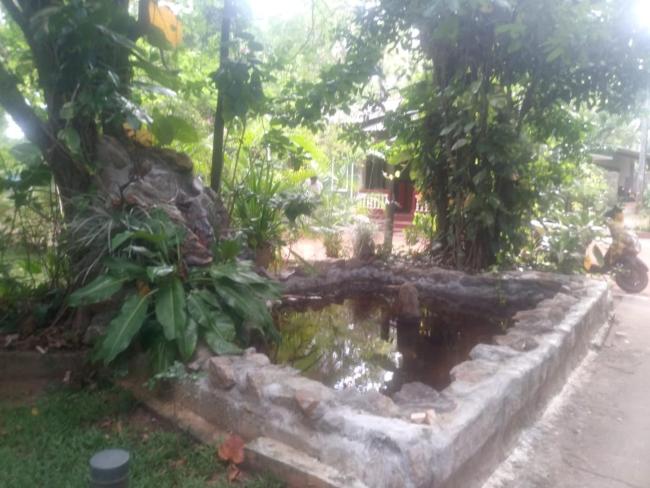 Arunalu Guest Triple Images_5