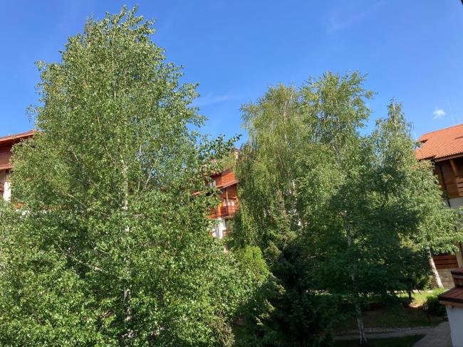 Bright & Lovely Apartment in Bansko with Free SPA and Garage Images_5