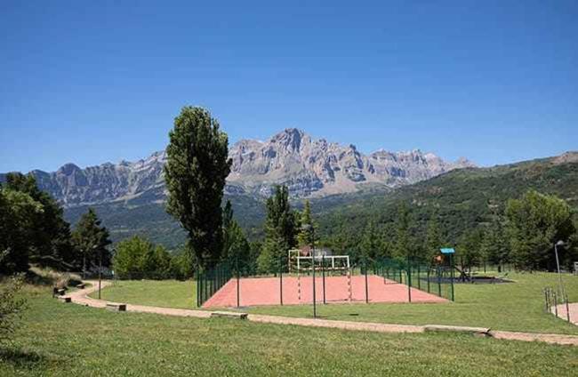 PanticAsa Amarilla by BeValle Images_4