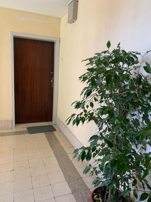 Peaceful place to be Images_3