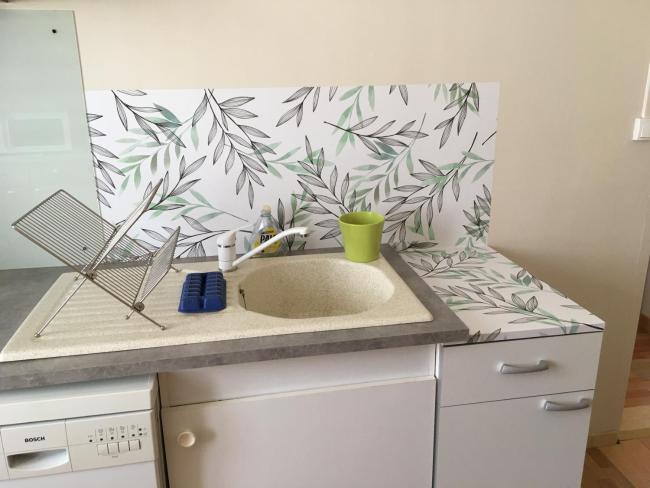 Gîtes Le Cheval Noir Studio Les Bambous Images_1