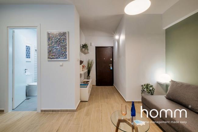 Aether homm Flat in Thiseion Images_5